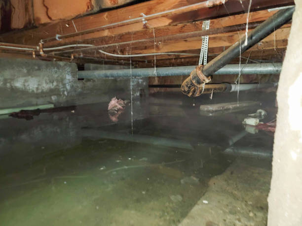 Water damage restoration insurance claims in TN