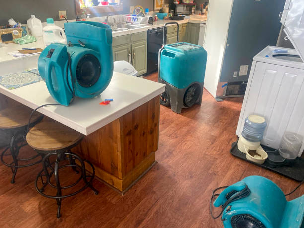 Best Water damage restoration near me  in Whitwell, TN