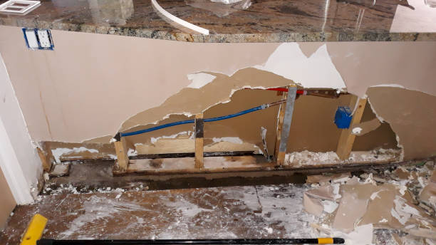 Best Carpet water damage restoration  in Whitwell, TN