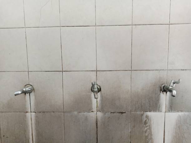  Whitwell, TN Water damage restoration Pros